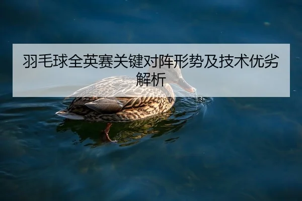 yu-mao-qiu-quan-ying-sai-guan-jian-dui-zhen-xing-shi-ji-ji-shu-you-lie-jie-xi-2-586.jpg